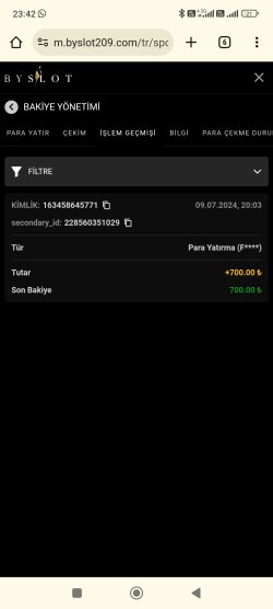 Screenshot_2024-07-09-23-42-29-639_com.android.chrome.jpg