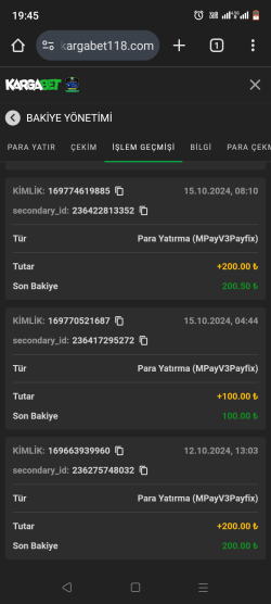 Screenshot_20241025-194509.png