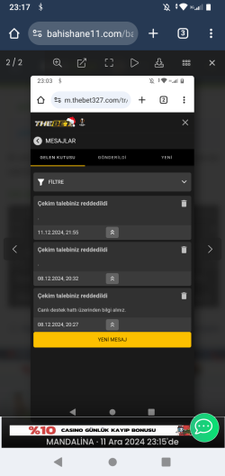 Screenshot_20241211-231736.png