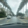 Bonuselo